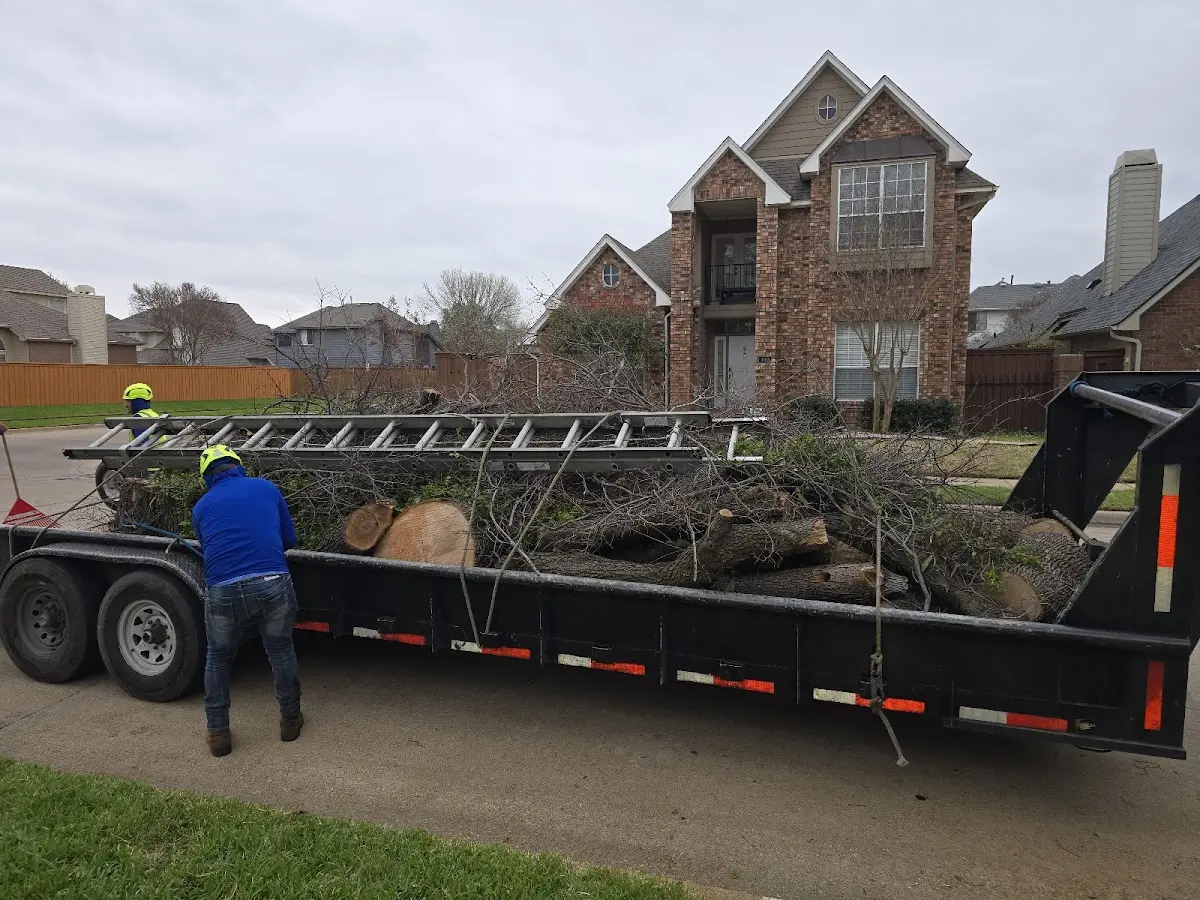 Expert Tree Removal with proper safety equipment in Edgerton